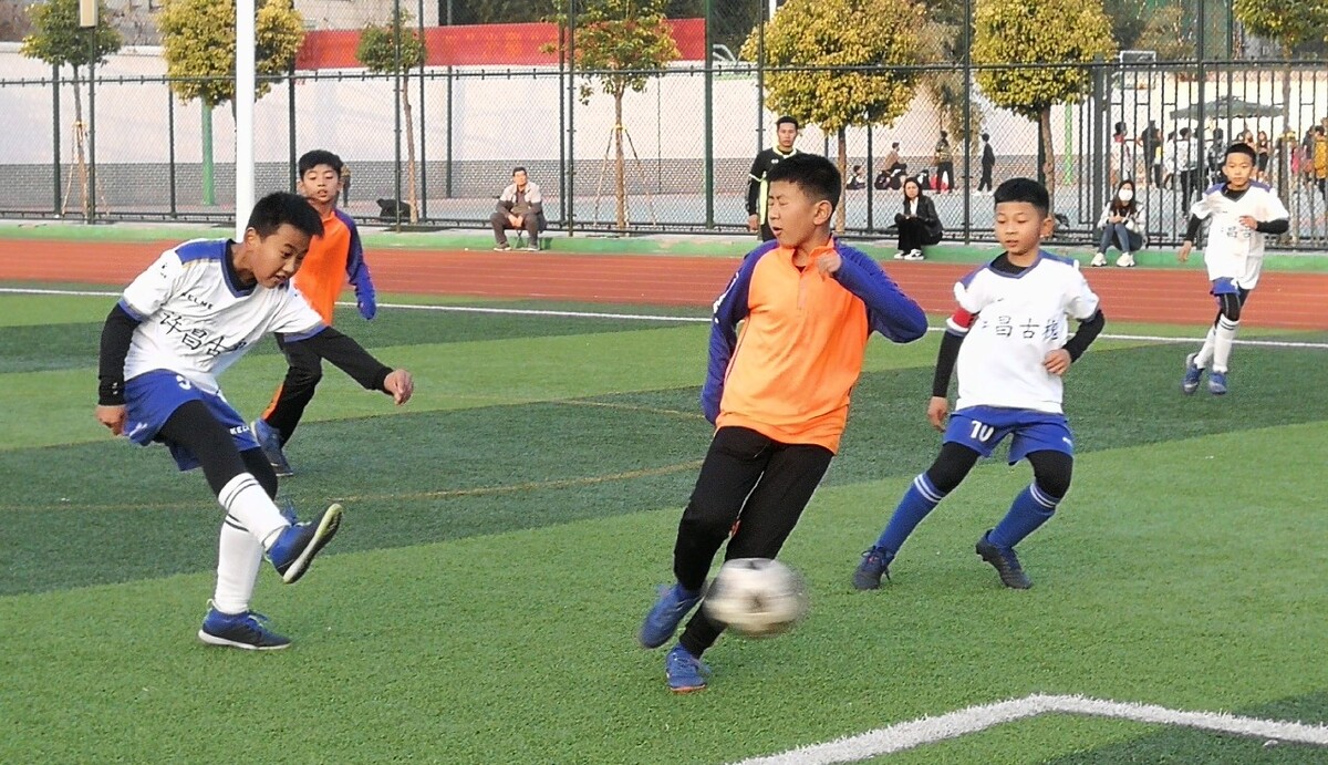 德约科维奇 德约科维奇