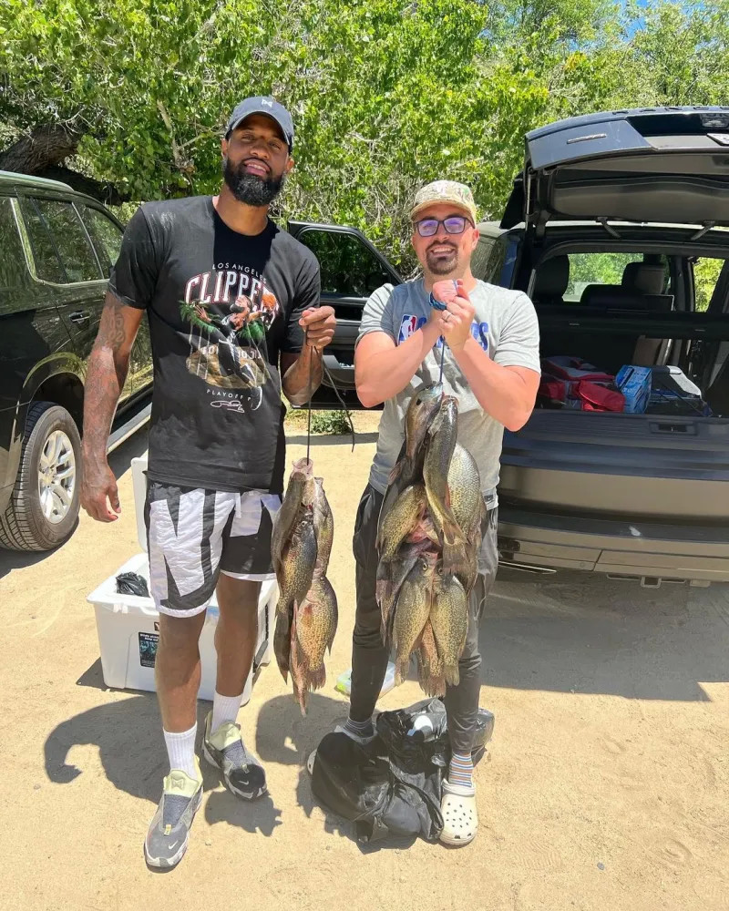 欧冠冠军 欧冠冠军